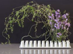2015-1-Ikebana-1.jpg